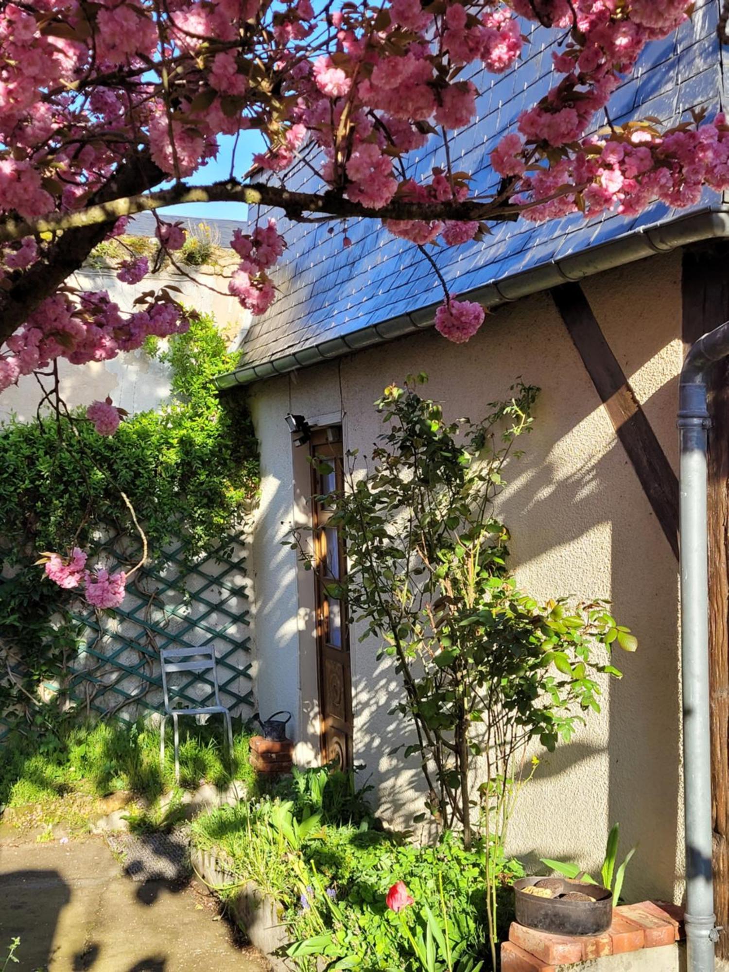 La Cour Du Chateau La Charité-sur-Loire Buitenkant foto